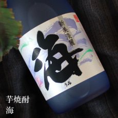 画像2: 海　1800ml (2)