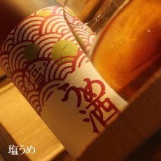 画像1: 塩うめ 720ml (1)