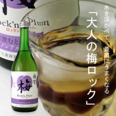 画像1: 雑賀 梅ロックンプラム 720ml (1)