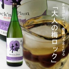 画像1: 雑賀 梅ロックンプラム 1800ml (1)