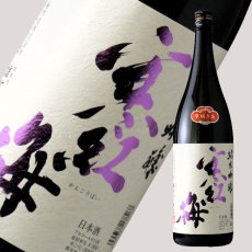 画像1: 寒紅梅 純米吟醸 雄町 早咲き生 1800ml (要冷蔵) (1)