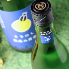 画像2: 丸西 孤高の月蛍 720ml (芋焼酎、ココウノツキボタル) (2)