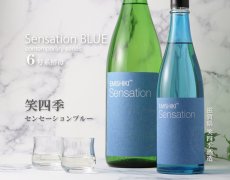 画像2: 笑四季 センセーション 青ラベル 火入 1800ml (2)