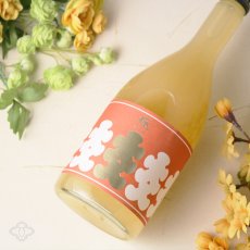 画像4: 大入り にごり柚子酒 濁濁 極 720ml (4)