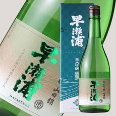 画像2: 早瀬浦 純米吟醸 山田錦 720ml (2)