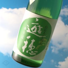 画像3: 遊穂 ゆうほのみどり 生もと純米生酒 720ml（要冷蔵) (3)