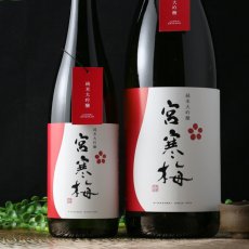 画像4: 宮寒梅 純米大吟醸 1800ml (4)