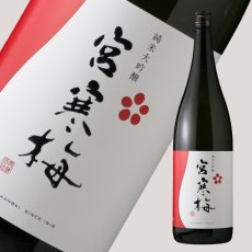 画像2: 宮寒梅 純米大吟醸 1800ml (2)