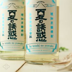 画像3: 夏の誘惑 500ml (琥珀炭酸芋焼酎) (3)