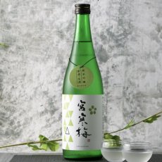 画像4: 宮寒梅 純米吟醸 おりがらみ 生酒 1800ml（日本酒 寒梅酒造）（要冷蔵） (4)