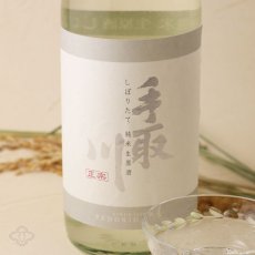 画像5: 手取川 しぼりたて 純米生原酒 720ml（要冷蔵） (5)