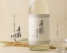 画像3: 手取川 しぼりたて 純米生原酒 720ml（要冷蔵） (3)