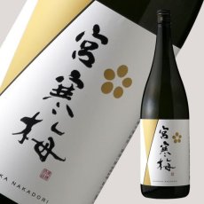 画像3: 宮寒梅 純米大吟醸 新酒生酒 無濾過中取り 1800ml（要冷蔵） (3)