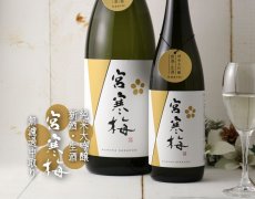 画像4: 宮寒梅 純米大吟醸 新酒生酒 無濾過中取り 1800ml（要冷蔵） (4)