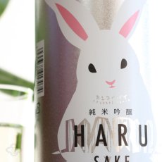 画像4: 寒紅梅 うさぎラベル 純米吟醸 HARU酒 1800ml (4)