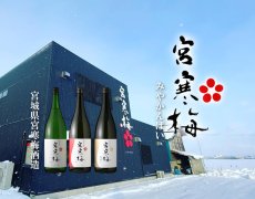 画像7: 宮寒梅 純米大吟醸 吟のいろは 1800ml (7)