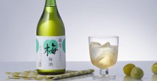 画像4: 雑賀 梅酒 1800ml (4)