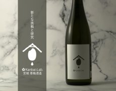 画像3: 宮寒梅 Kanbai - Lab. 720ml (3)