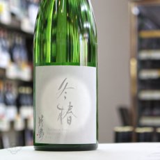 画像1: 敷嶋 冬椿 生 720ml（しきしま ふゆつばき 愛知県 伊東）（要冷蔵） (1)