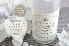 画像3: 白の誘惑 500ml (炭酸芋焼酎) (3)