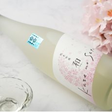 画像6: 風の里「和」純米吟醸 さくらひめ 720ml (6)