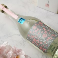 画像4: 城川郷 純米吟醸原酒 さくらひめ 720ml (4)