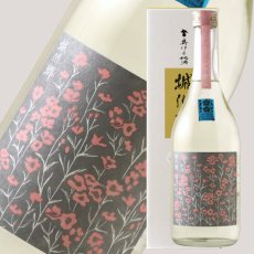 画像5: 城川郷 純米吟醸原酒 さくらひめ 720ml (5)