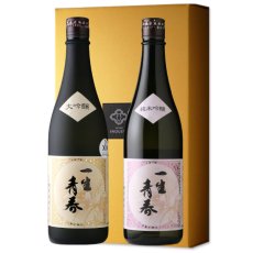 画像1: 一生青春セット  (日本酒 720ml2本 一生青春 大吟醸 純米吟醸 曙酒造) (1)