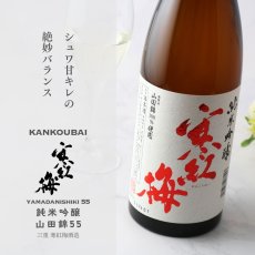 画像5: 寒紅梅 純米吟醸 山田錦55 720ml (5)