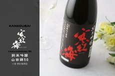 画像4: 寒紅梅 純米吟醸 山田錦50 720ml (4)