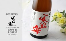 画像5: 寒紅梅 純米吟醸 山田錦55 1800ml (5)