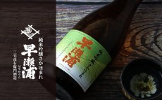 画像3: 早瀬浦 純米吟醸酒 さかほまれ 720ml (3)