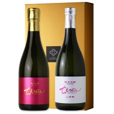 画像1: ちえびじんセット（日本酒 720ml 2本 ちえびじん純米吟醸、純米酒） (1)