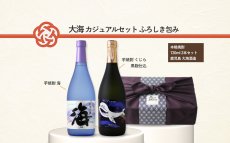 画像9: 大海カジュアルセット ふろしき包み（芋焼酎 720ml 2本 海 くじらのボトル黒麹） (9)