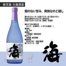 画像8: 大海カジュアルセット ふろしき包み（芋焼酎 720ml 2本 海 くじらのボトル黒麹） (8)