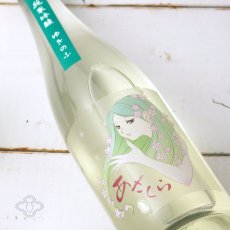 画像3: 阿櫻 ゆきのふ 純米吟醸 原酒 720ml (3)