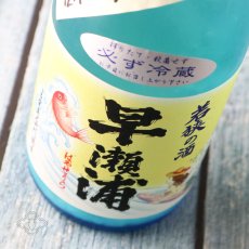 画像3: 早瀬浦 純米滓酒 浦底 海の女神 720ml（要冷蔵） (3)