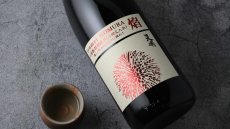 画像5: 天明 焔 HOMURA 山廃もと 特別純米 二回火入 720ml（日本酒 曙酒造） (5)