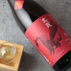 画像3: 高龍 (コウリュウ) 朱判 (アカバン) 1800ml（日本酒 高千代酒造） (3)