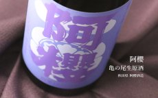 画像4: 阿櫻 亀の尾 生原酒 720ml（日本酒 あざくら 阿櫻酒造 要冷蔵） (4)